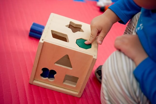 2. Какая из фигур ниже не подойдет для этого пазла?