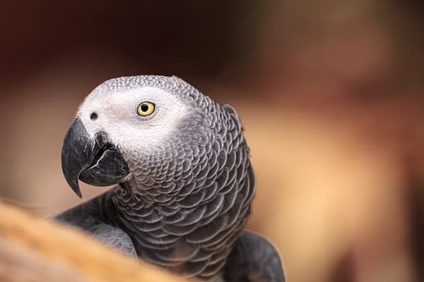 10. А сколько всего было мензурок?