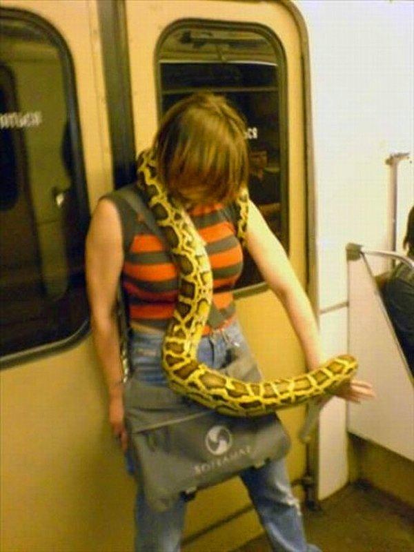16. Bu kadın ve yılanını metroda gördünüz, ne yaparsınız?