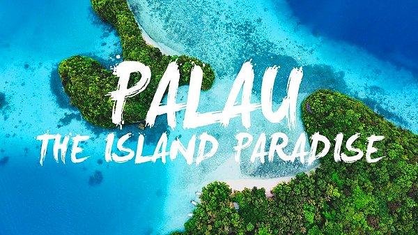 4. Ülkeye ulaşım Palau Havalimanından sağlanıyor.