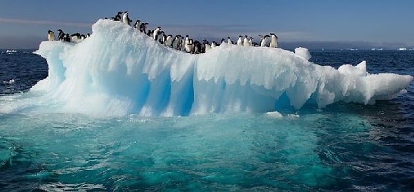 9. В Антарктиде нет коренного населения?