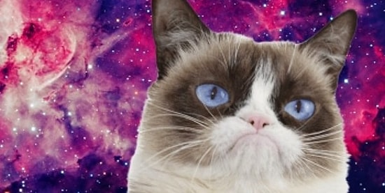 Тест: Насколько вас можно назвать врединой?