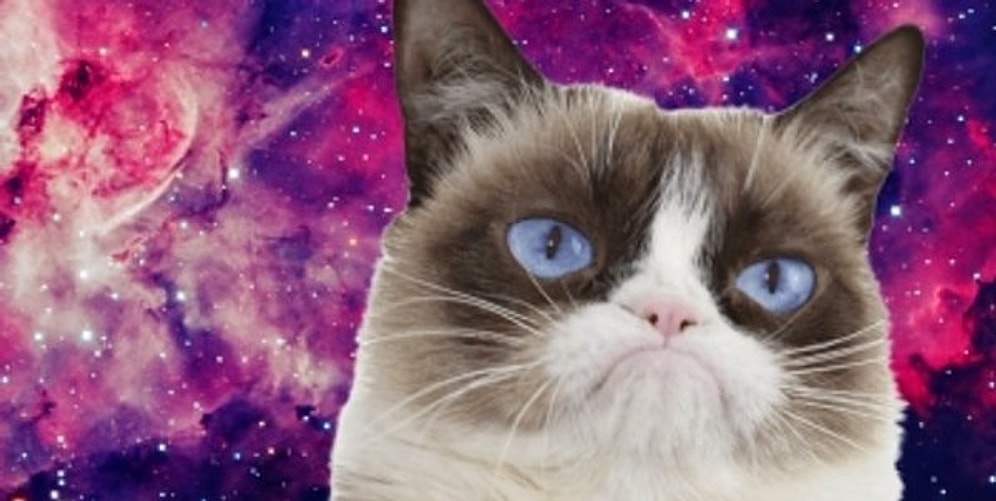 Тест: Насколько вас можно назвать врединой?