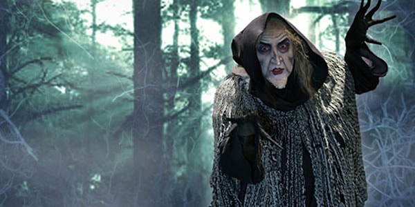 7. На чем обычно летают ведьмы в сказках и различных произведениях?