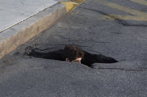 23. В каждом городе есть свое Оно