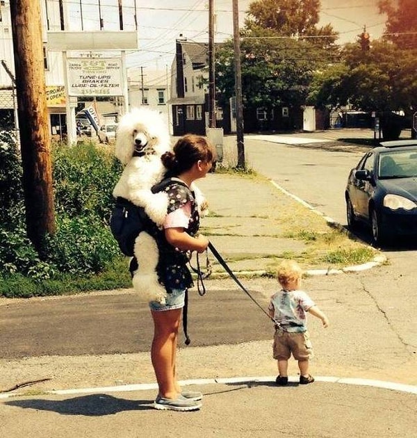 32. Правильно расставила приоритеты 👍