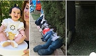 İlk Görüşte İnsanı Boncuk Boncuk Terletmek İçin Çekildiği Belli Olan 19 Fotoğraf