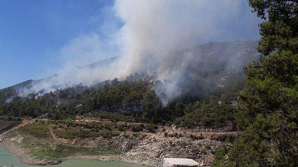 Kumluca'daki orman yangınında 4 hektarlık alan kül oldu.