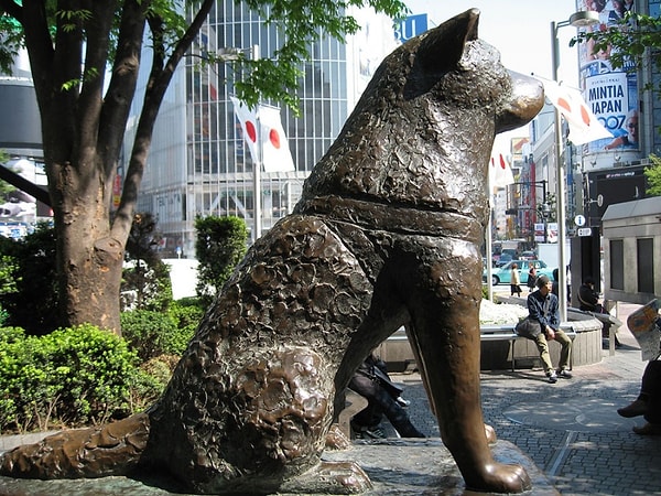 8. Памятник Хатико