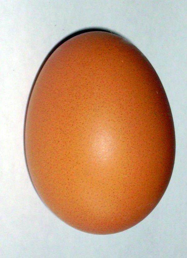 9. Dünyayı yeniden doldurmak için ihtiyaç duyulan kadın yumurtaları, bir tavuğun yumurtasına sığabilir.