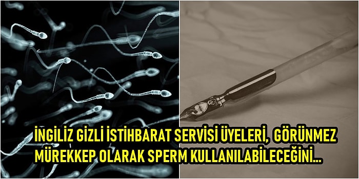 Cinsellik Konusunda Uzman Değilseniz Bir Hayli Şaşıracağınız Birbirinden Tuhaf 22 Gerçek