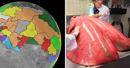 Вещи, реальный размер которых ваш мозг был не способен осознать (до этого момента)