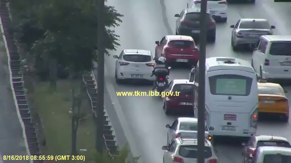 Araç Çarpan Köpeğe Yardım Elini Uzatan Güzel İnsanlar