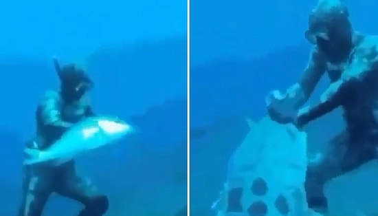 Dalgıcın Elindeki Küçük Balığı Kapan Büyük Balık