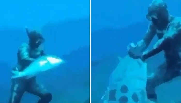 Dalgıcın Elindeki Küçük Balığı Kapan Büyük Balık