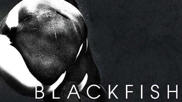 3. "Blackfish" (2013)