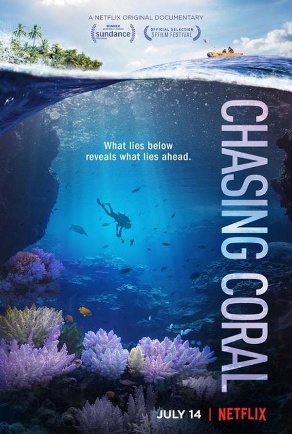 4. "Chasing Coral" (2017)