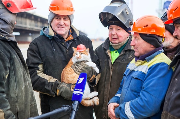 1. Все члены бригады в сборе 😍