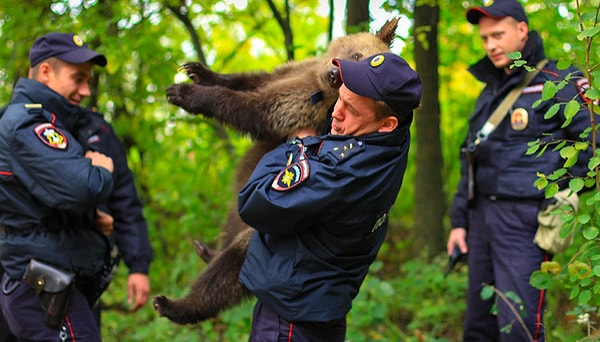19. Хм, охота на медведя?