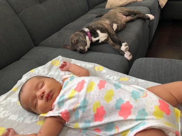 12. ''Bir köpek için 10 yılı aşkın süre bekledim ve artık arka bahçem var. Hamile kalmak için 2 yıl bekledim ve sonunda kızım doğdu. Geçen ay kalbim tamamlanmış oldu.''