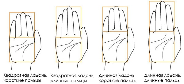 5. Как насчет ладоней?