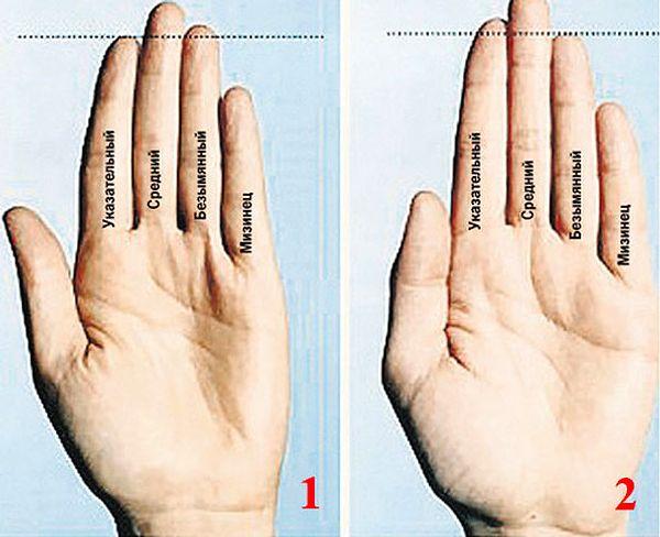 Самая большая рука человека в мире - топ 10, рейтинг, фото
