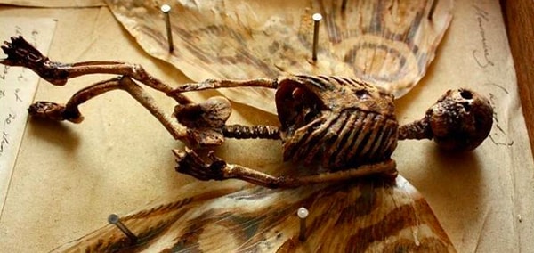 6. Как вам такой самодельный скелет?