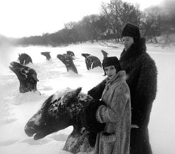 18. Мёртвые лошади в снегу?