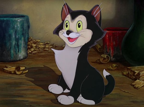 2. А откуда эта киса?