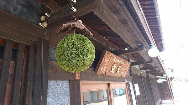 12. Sedir ağacı topu ya da Sakebayashi