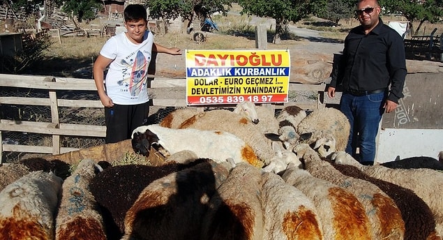 15. "Sosyal mesaj" vermeye çalışanlar.