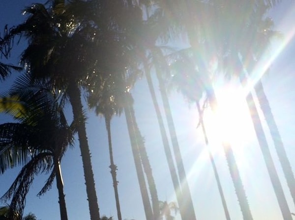 7. Идеальная погода для вас - это...