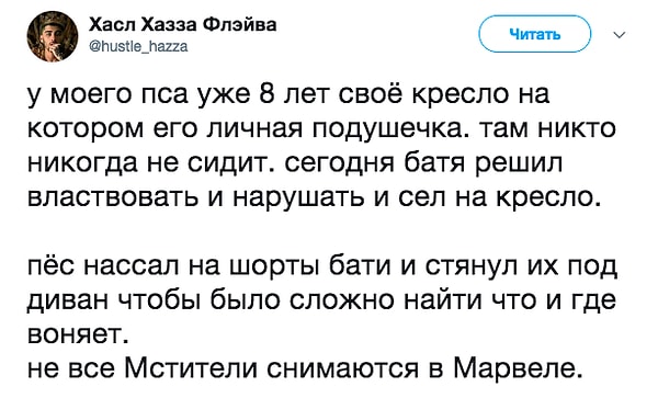 3. Очень мстительный пес!