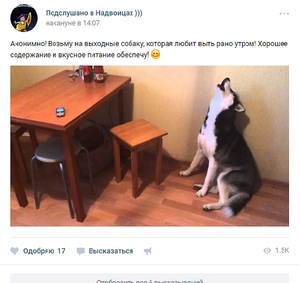 8. Теперь вы знаете, как отомстить соседям