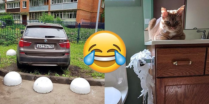 Люди и животные, которые доказали, что месть - блюдо, которое нужно подавать холодным