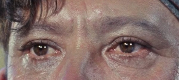 2. А чьи глаза перед вами?