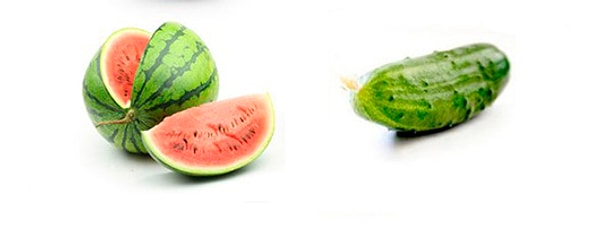 15. Самая вкусная часть огурца на вкус как самая невкусная часть арбуза.