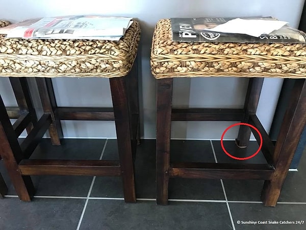 Посмотреть ответ: