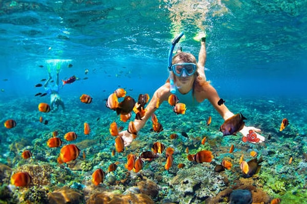 2. Нашли Немо?