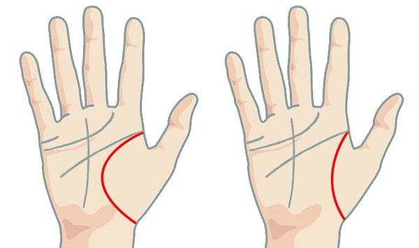 6. А длина линии жизни говорит о том, насколько вынослив человек.