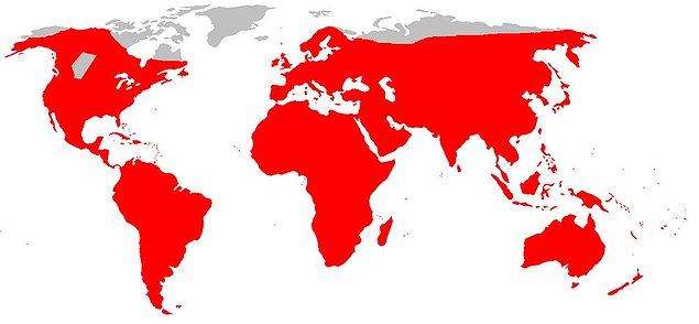 3. Dünyada lağım faresinin bulunduğu bölgeler.