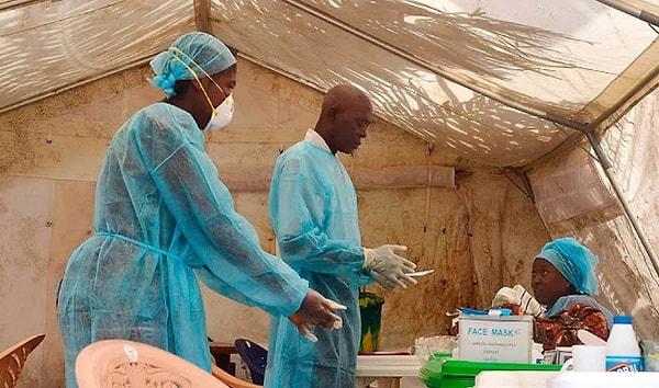 В 2004 году вспыхнула эпидемия этого вируса.