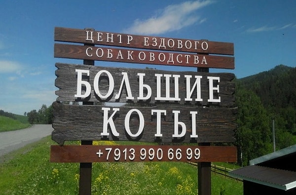 11. Где-то здесь зиждется здравый смысл, но он ускользает от нас как вода сквозь пальцы