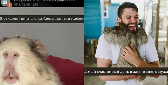 Снэпчаты с животными, которые оставят улыбку на вашем лице