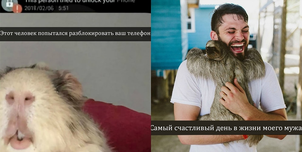 Снэпчаты с животными, которые оставят улыбку на вашем лице