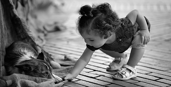 7. Сострадательность