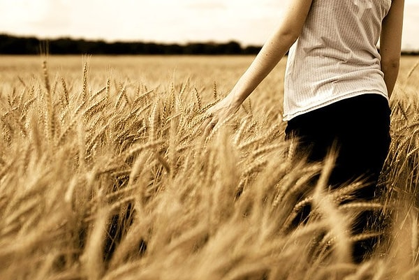 9. Вечный поиск правды