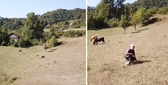 Hayatında İlk Defa Drone Gören Adamın Korku Dolu Anları!