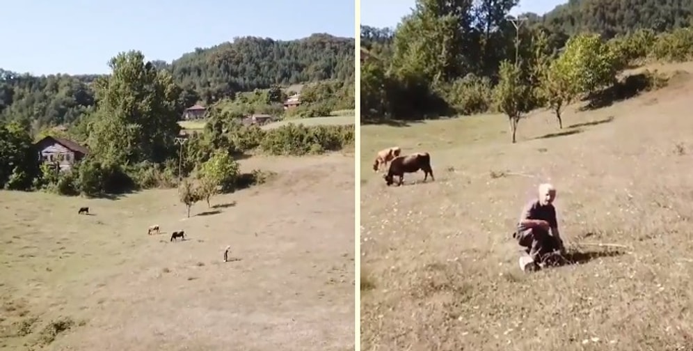 Hayatında İlk Defa Drone Gören Adamın Korku Dolu Anları!