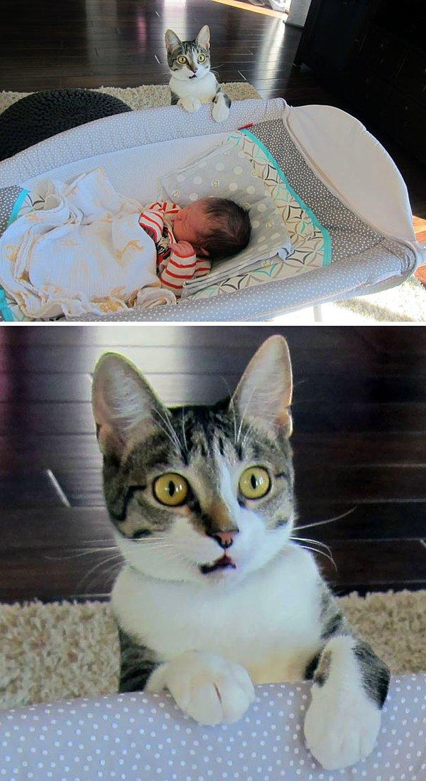 7. "Kedimize, yeni bir bebeğimiz olduğunu söylemeyi unuttuk."